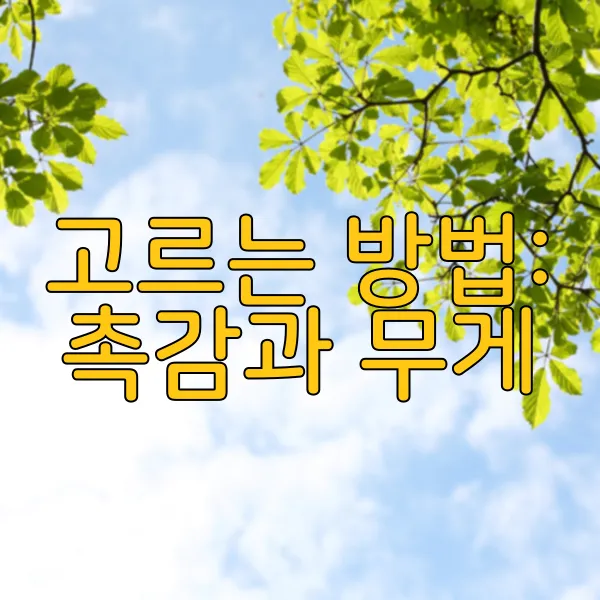 img.webp