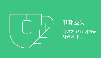 녹차 효능
