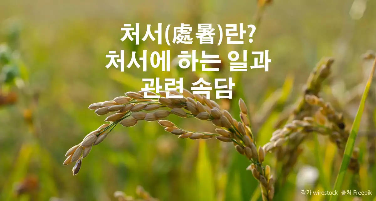처서
