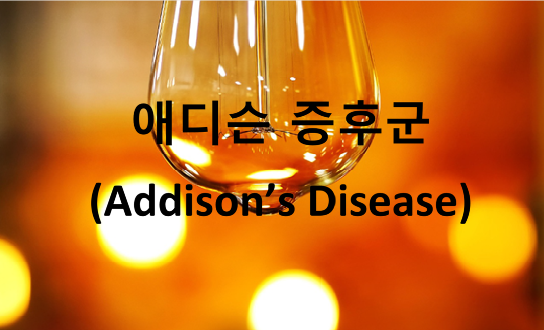 애디슨 증후군(Addison&rsquo;s Disease) 총정리
