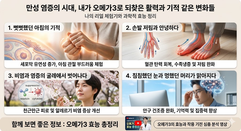 오메가3 효능