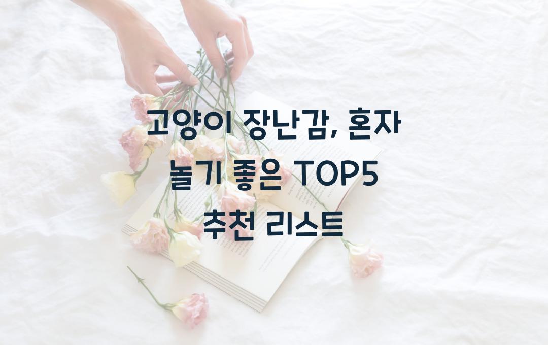 고양이 장난감, 혼자 놀기 좋은 TOP5