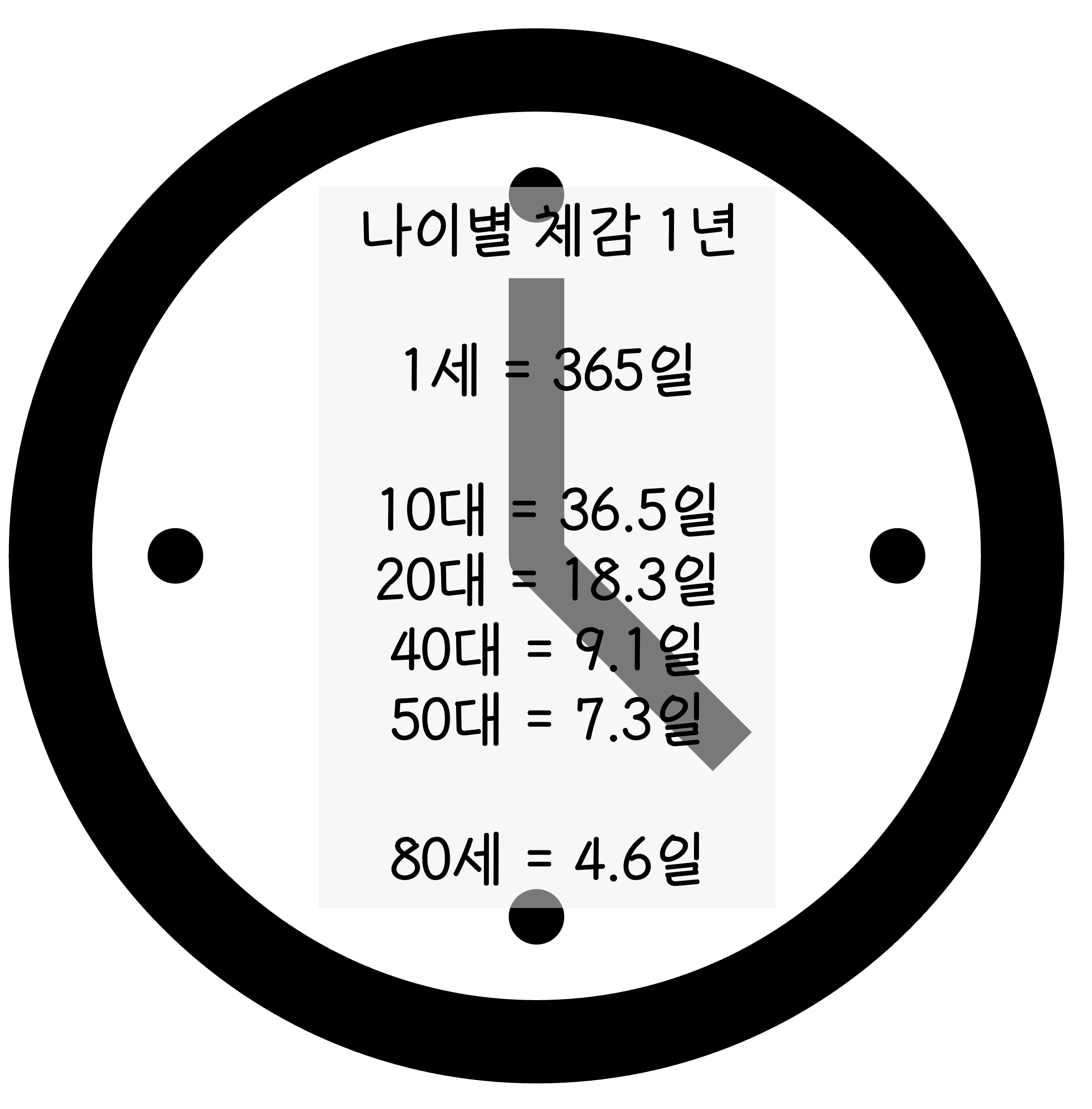 자네의 법칙 예