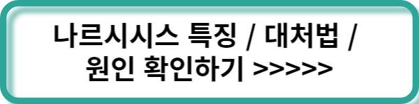 추가정보링크
