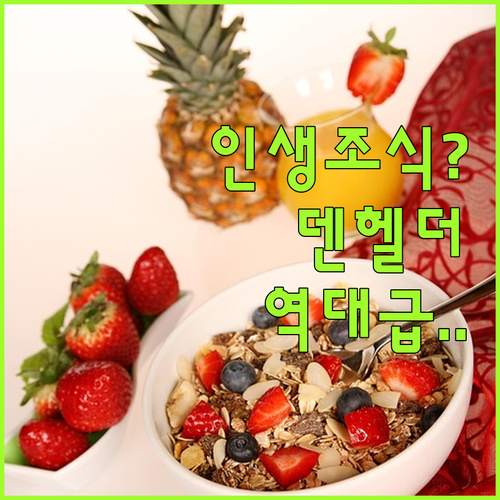 네덜란드 덴 헬더 여행 중 인생 조식..