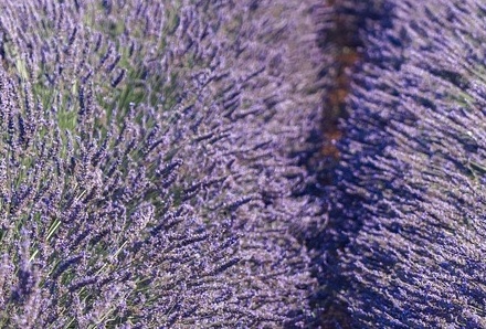 6월 국내 여행지 추천