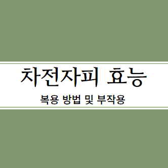 차전자피의 효능 먹는법 부작용