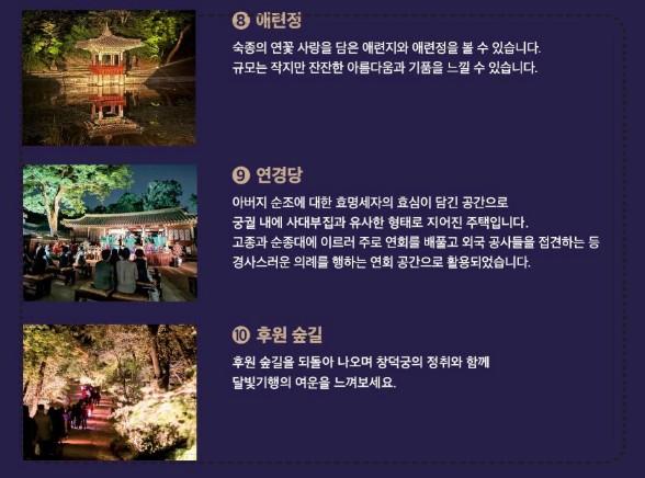 2026 창덕궁 달빛기행 상반기 응모 시작! 추첨제 일정 및 예매 방법 완벽 정리