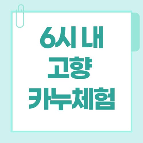 6시 내고향 홍천 카누 체험 배바위 마을 예약 팁까지