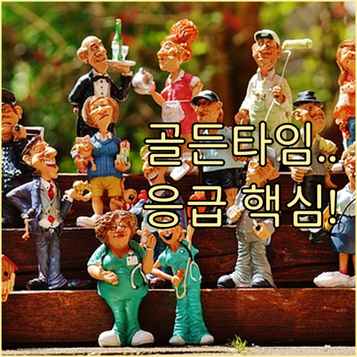 반려동물 응급 골든타임 24시 동물병..