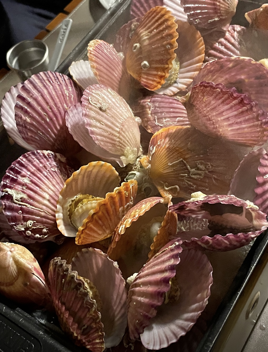 캠핑-음식-추천-간단하게-요리할-수-있는-메뉴-리스트(밀키트,배달-후기)