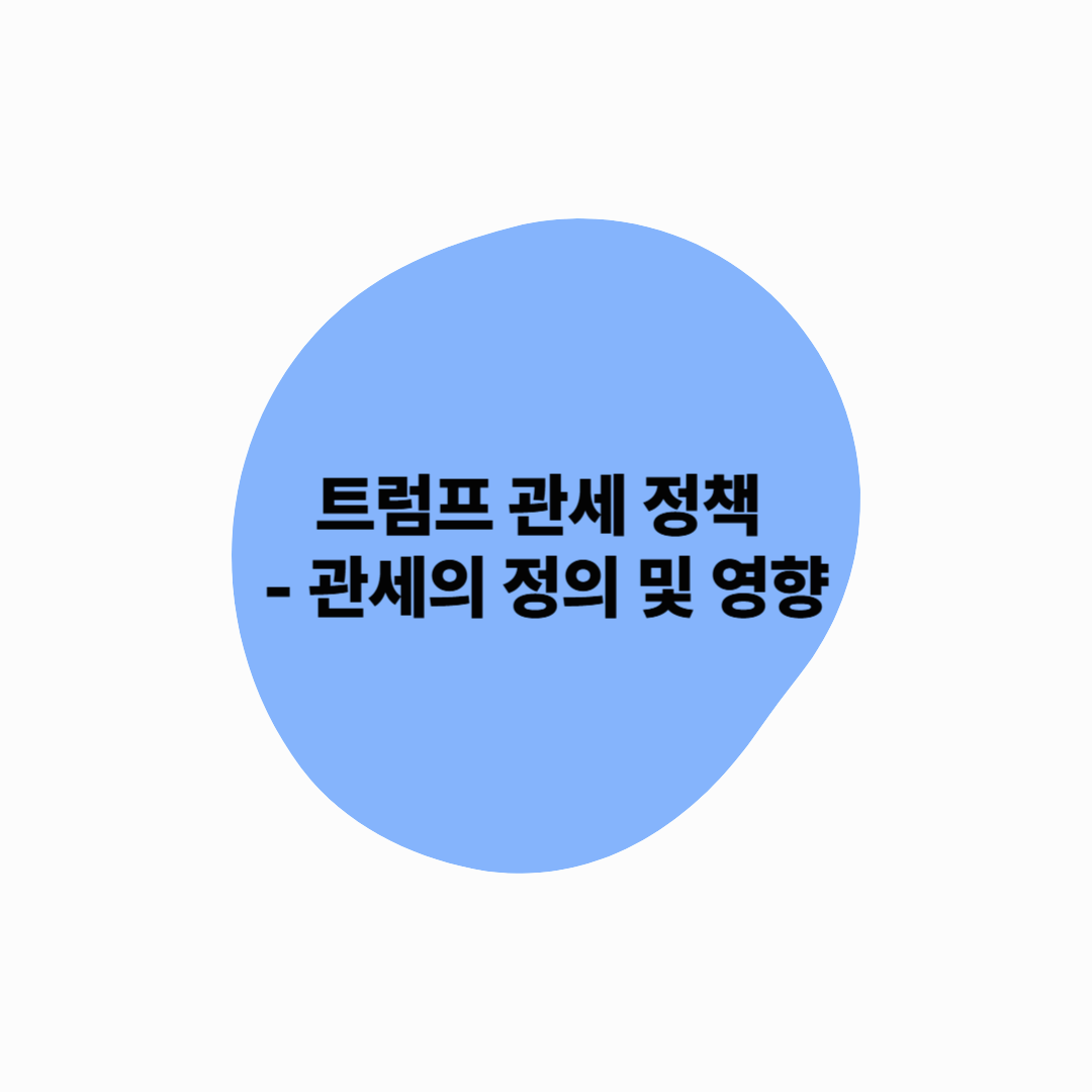 트럼프 관세 정책 - 관세의 정의 및 영향