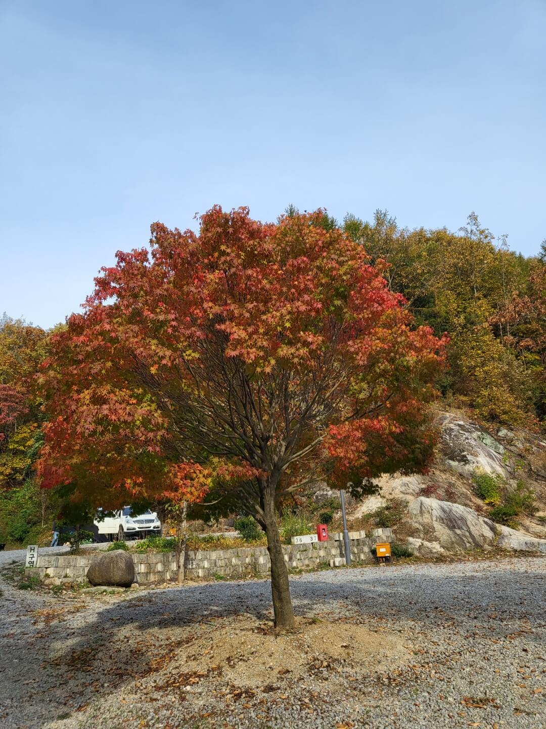 문경수예리캠핑장