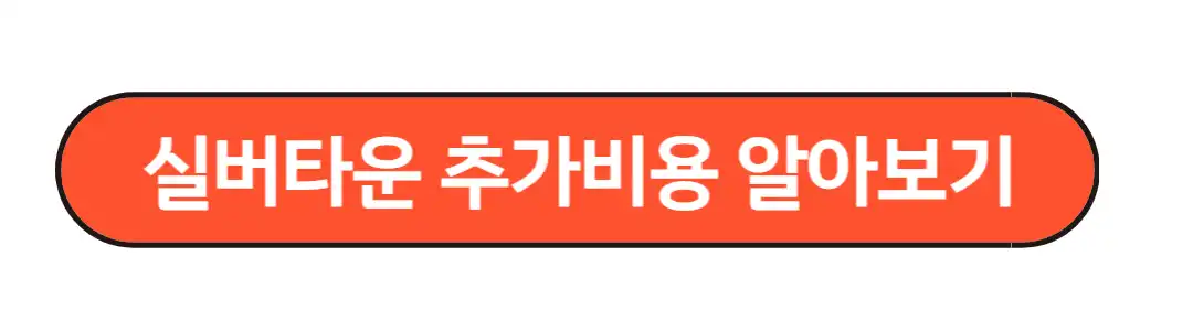 시럽타운 추가비용 알아보기