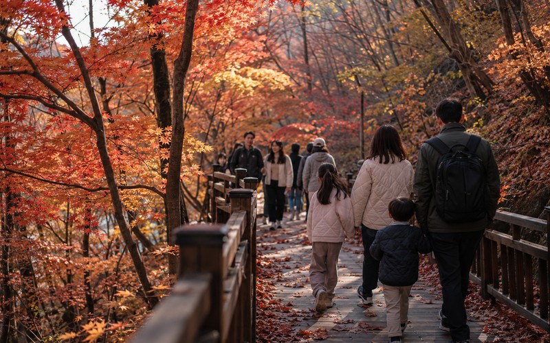 화담숲 단풍 시기와 예약, 2026 성수기 일정 및 모노레일 요금 완벽