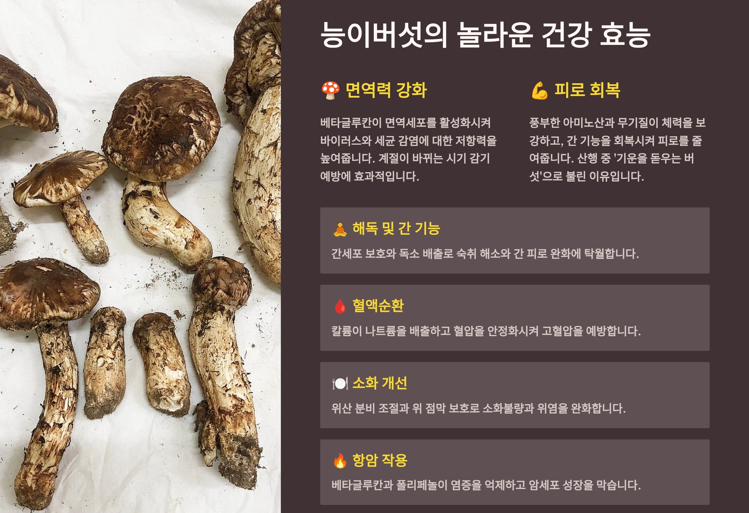 능이버섯의 효능