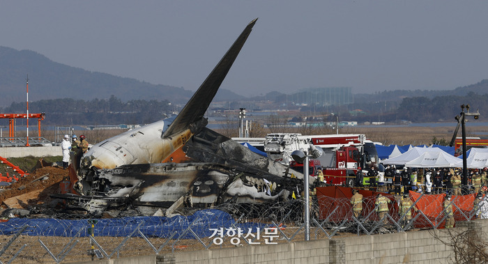 세계 버드스트라이크 사고 사례