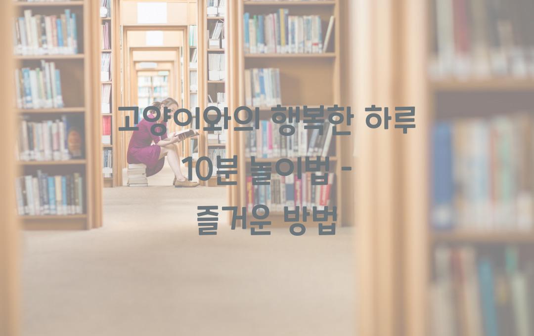 고양이 놀이법, 하루 10분만 투자해도 행복해지는 방법