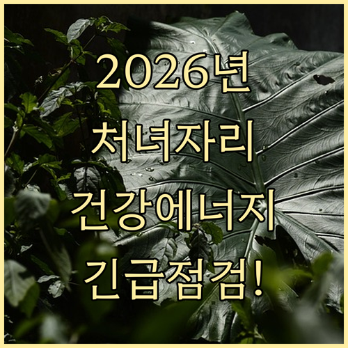 처녀자리 2026년 상반기 하반기 건..