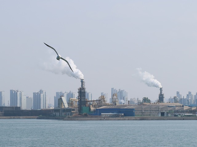 초미세먼지 발생