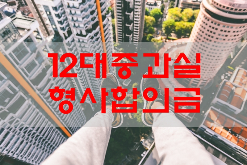 12대중과실-벌금