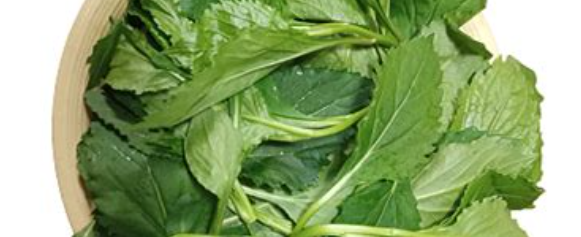 부지깽이나물 3