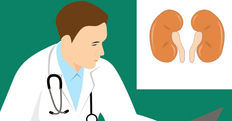 의사와신장그림