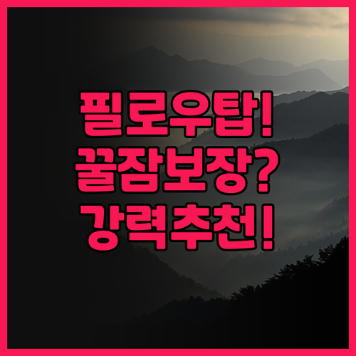 베스트 웨스턴 플러스 로노크 호텔 추..
