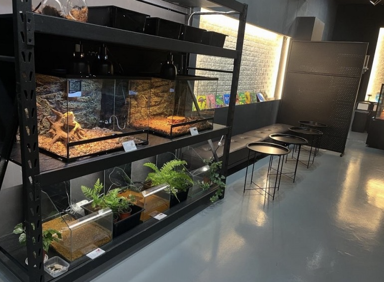 쥬니버스 이미지