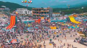 보령 머드축제 일정