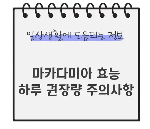 마카다미아-효능-하루권장량