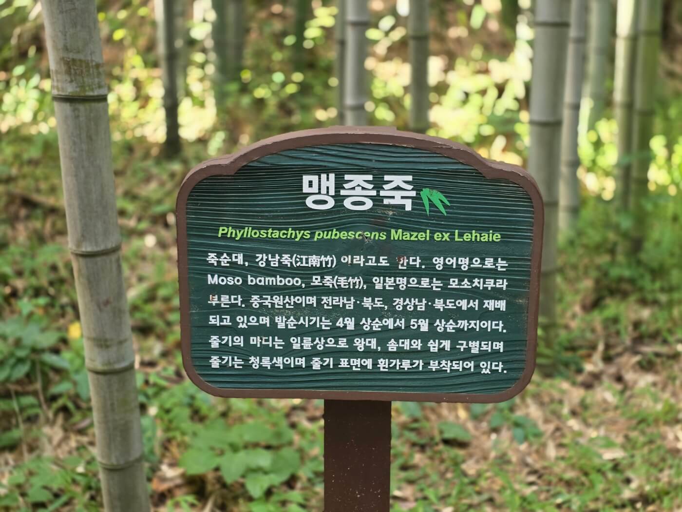 이정표-맹족중