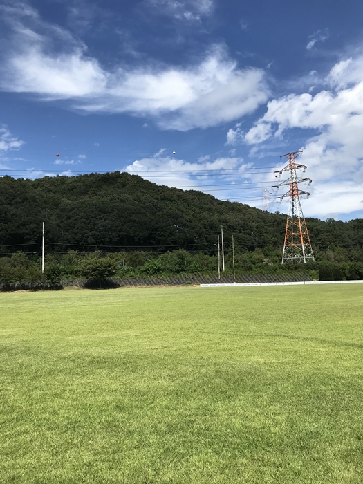 플랜테이션 잔디광장