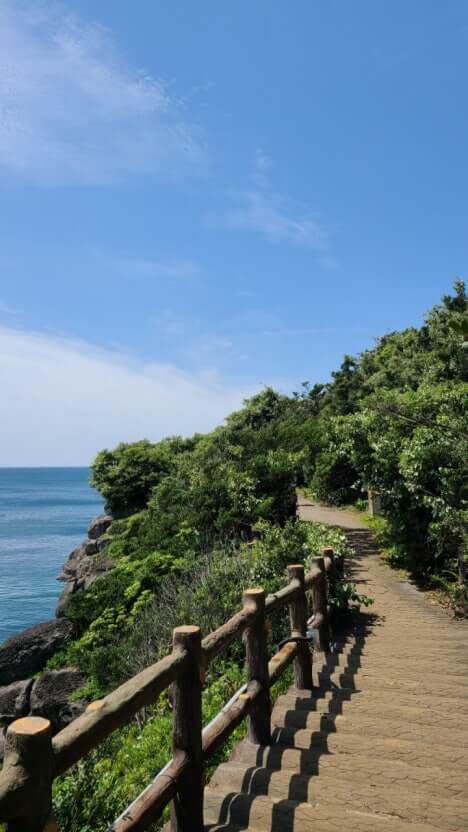 폭삭속았수다촬영지 올레길 5코스