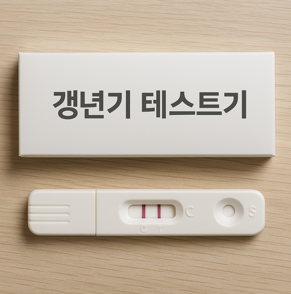 갱년기 테스트기