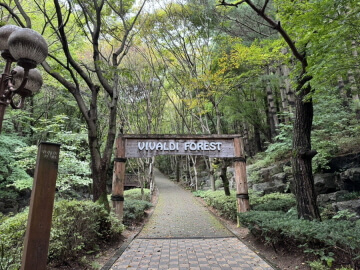 반려견과 함께 떠나는 전국 산행 명소 7선 : 강아지 동반 가능한 등산 코스 총정리