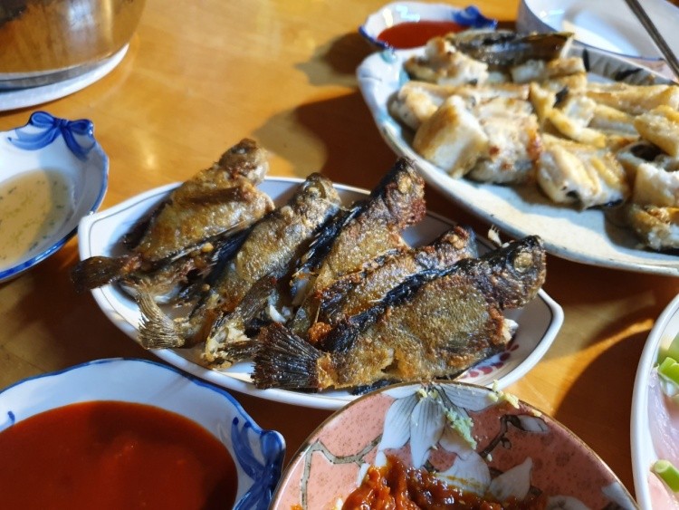 볼락 밤낚시 체험
