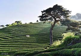 가을여행&#44; 당신은 어디로 떠나시나요?