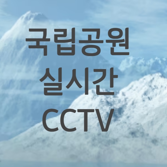 국립공원 CCTV
