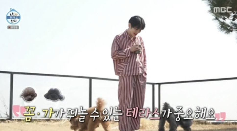 샤이니 키 그릴 가격 이사한집 1분 깔끔 요약정리 (+ 나혼산 새집)