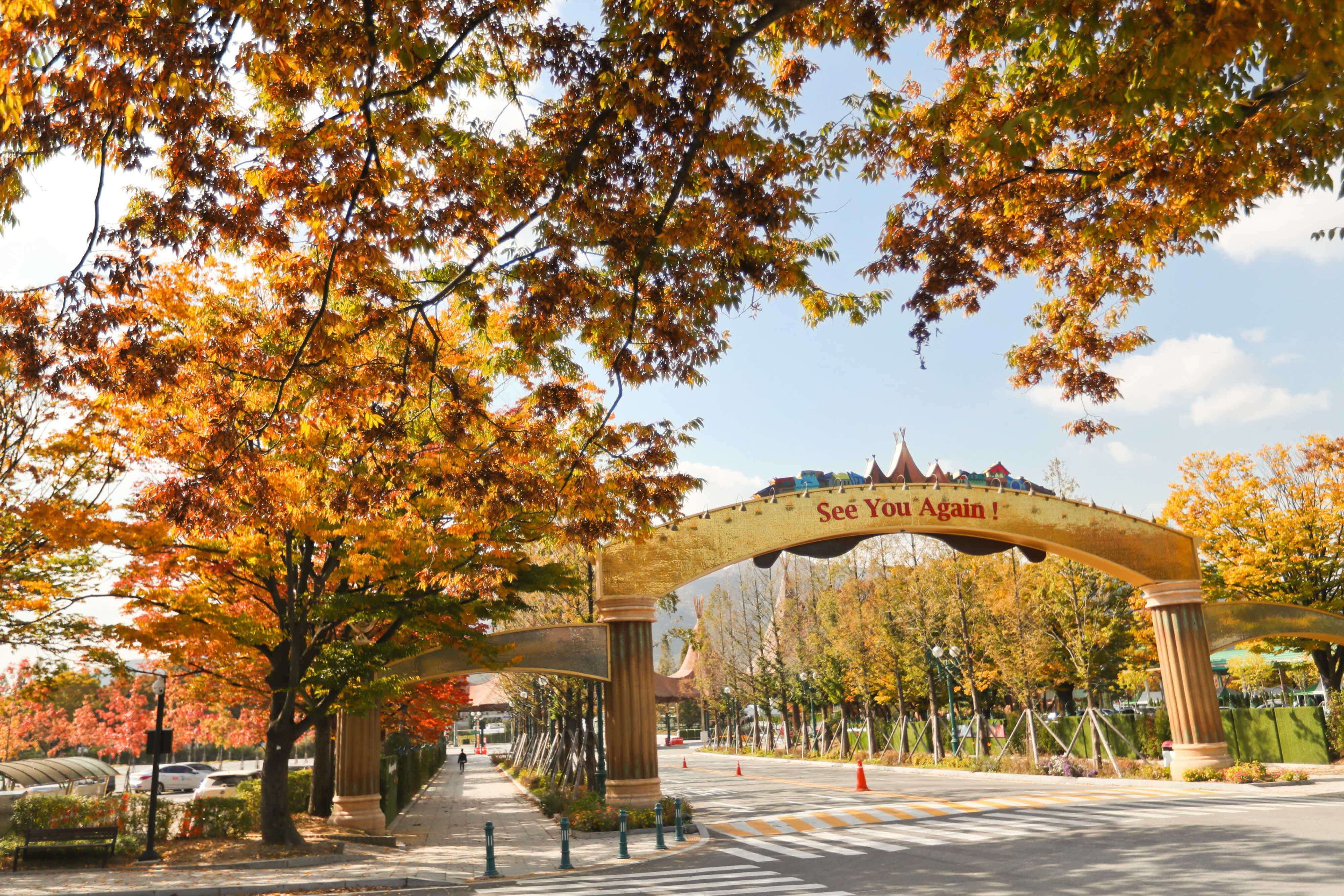 렛츠런파크 서울 가을 축제 밤마실 페스티벌