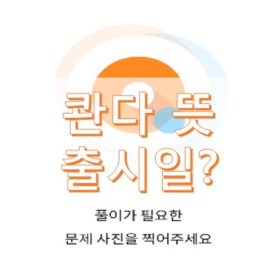 콴다 출시일