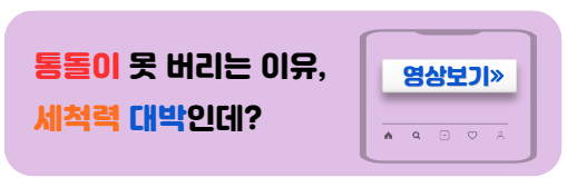 통돌이세탁기세척력