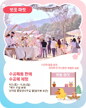 남이섬 벚꽃 마켓 이미지 출처: 남이섬 홈페이지