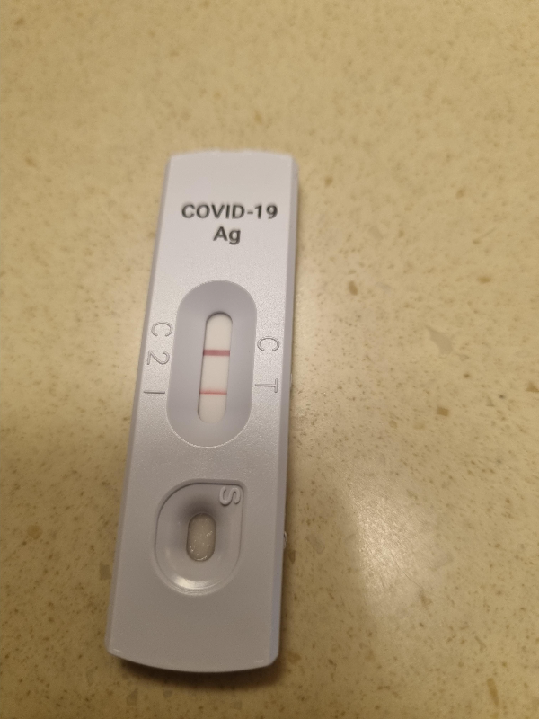 코로나 재유행 확진