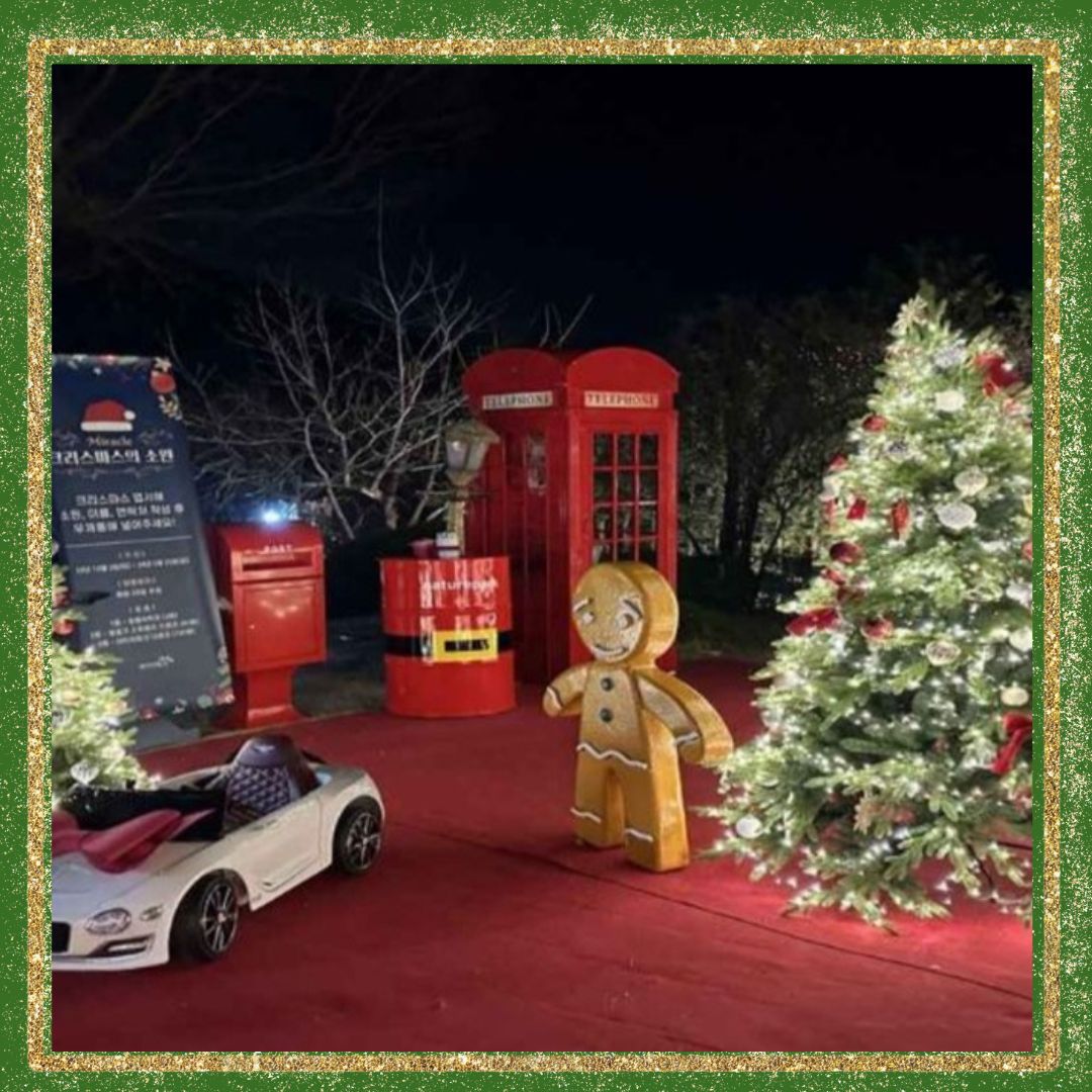 대구/네이처파크/미라클/크리스마스 