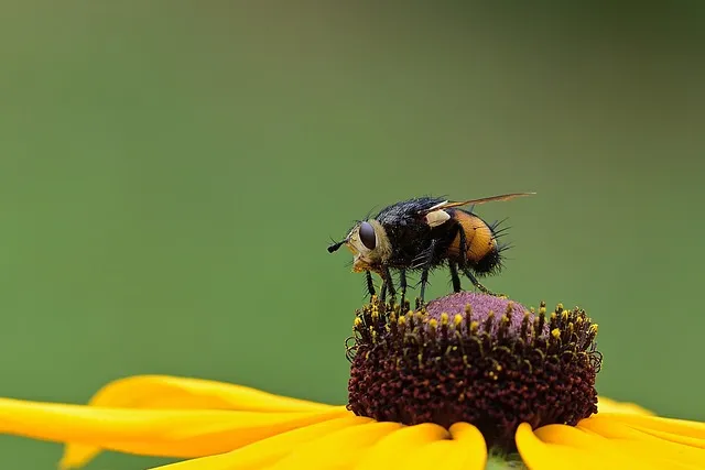 여름나물 종류 10가지 여름 제철 나물 반찬_9