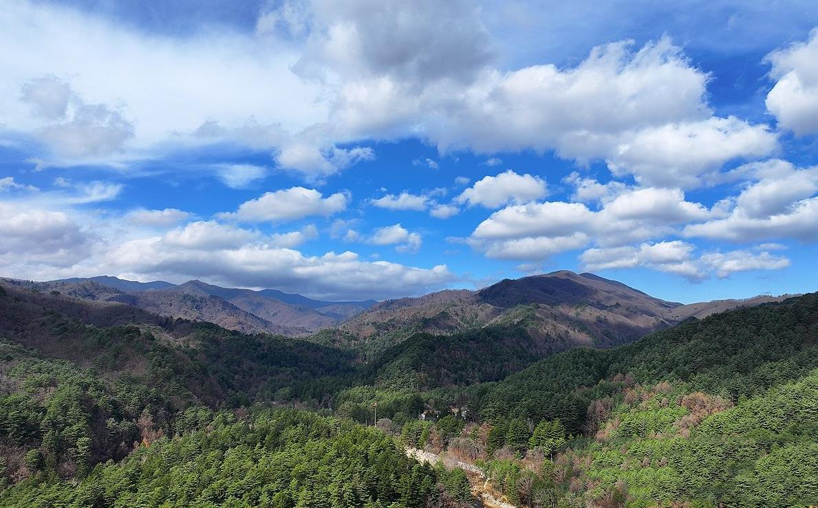 오대산