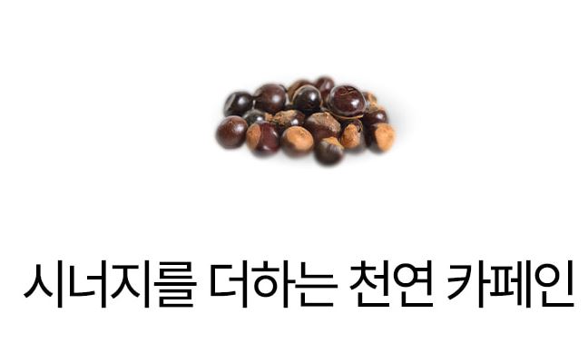 blp-제로셋-다이어트-효과