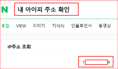 자신의 공인 IP가 표시